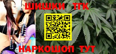 СК Гатчина
