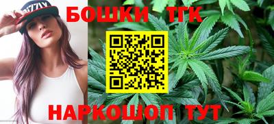 СК Гатчина