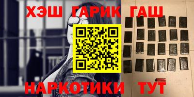 СК Гатчина