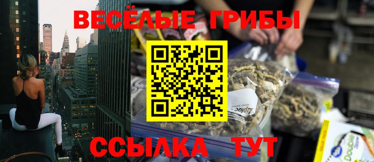 Псилоцибиновые грибы мицелий  Вход с VPN  Заринск  как найти закладки  Псилоцибиновые грибы мицелий 