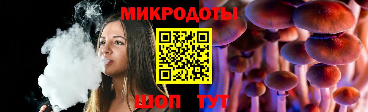 Галлюциногенные грибы Cubensis Заринск